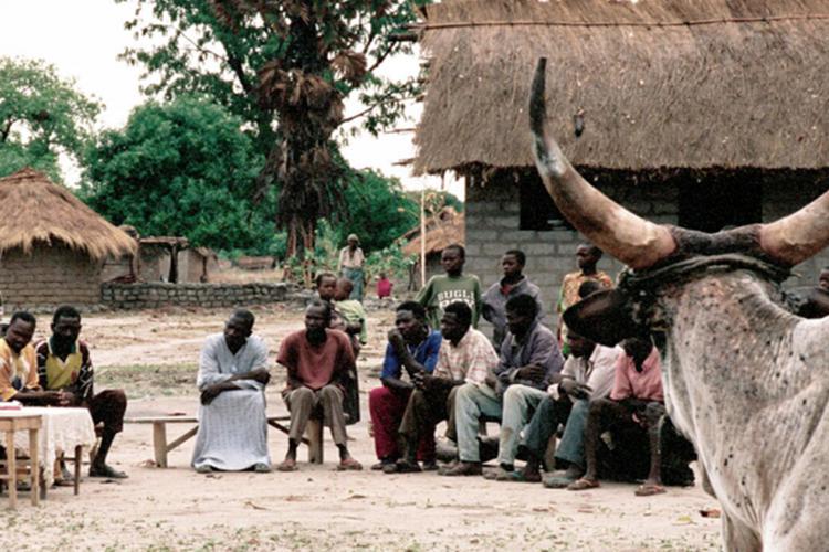 Consultation Publique